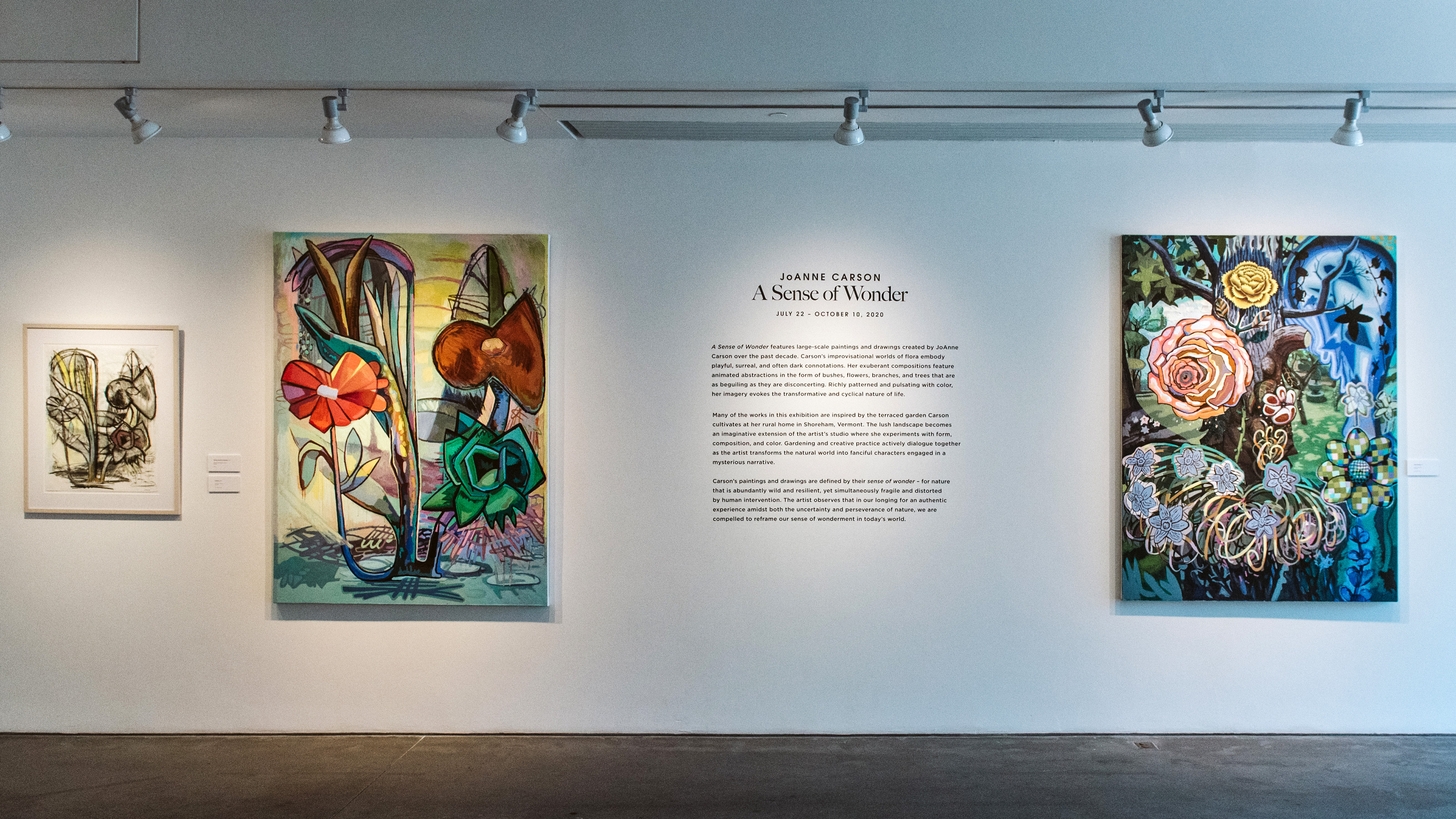 JoAnne Carson: A Sense of Wonder, exhibition view, 2020