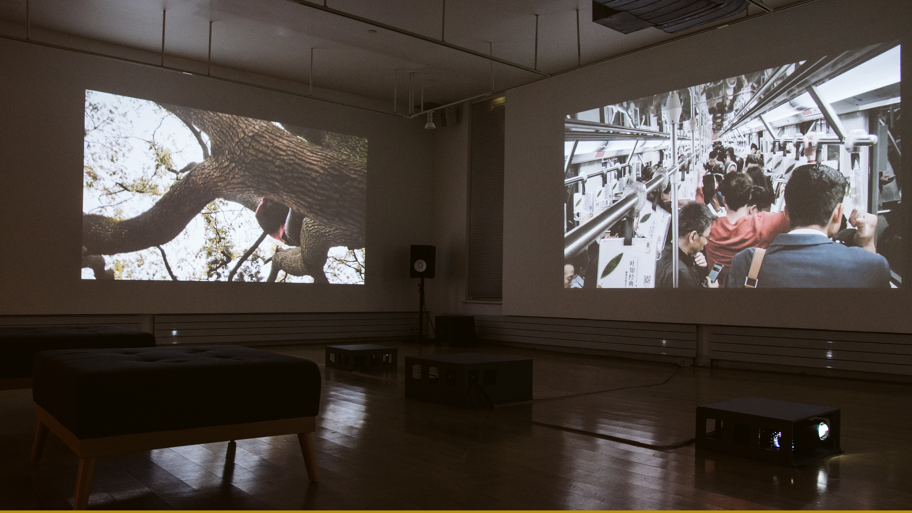 Pauline Jennings' Becoming Human