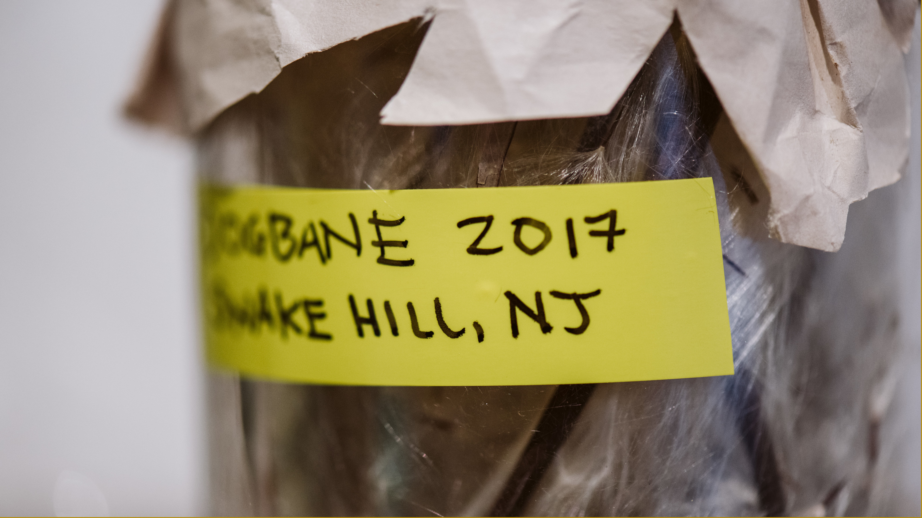 Apocalypse Diet: What Will We Eat, BCA Center installation view