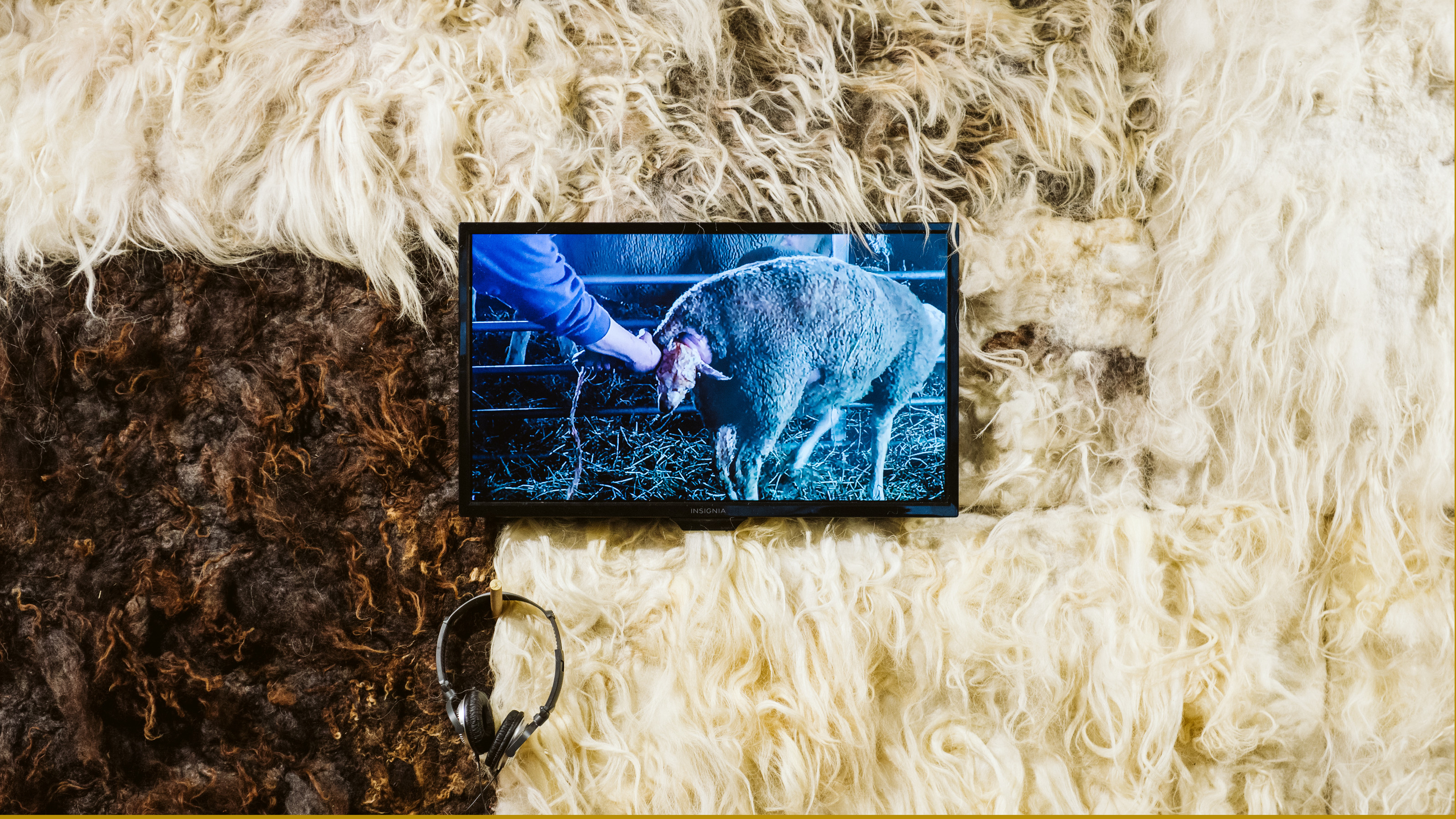 Brigitta Varadi: Exploring the Invisible