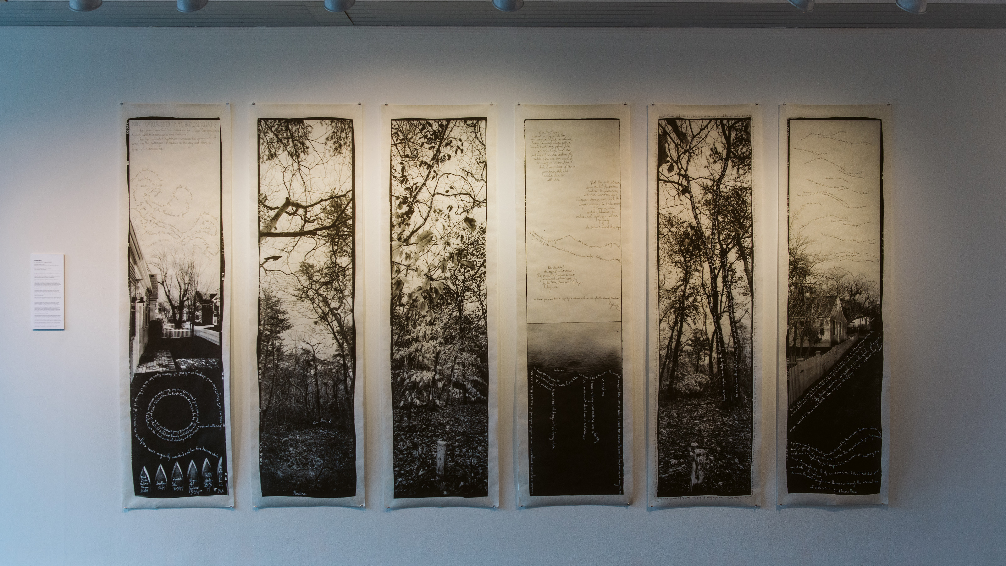 Unprecedented?, BCA Center installation, 2020-2021