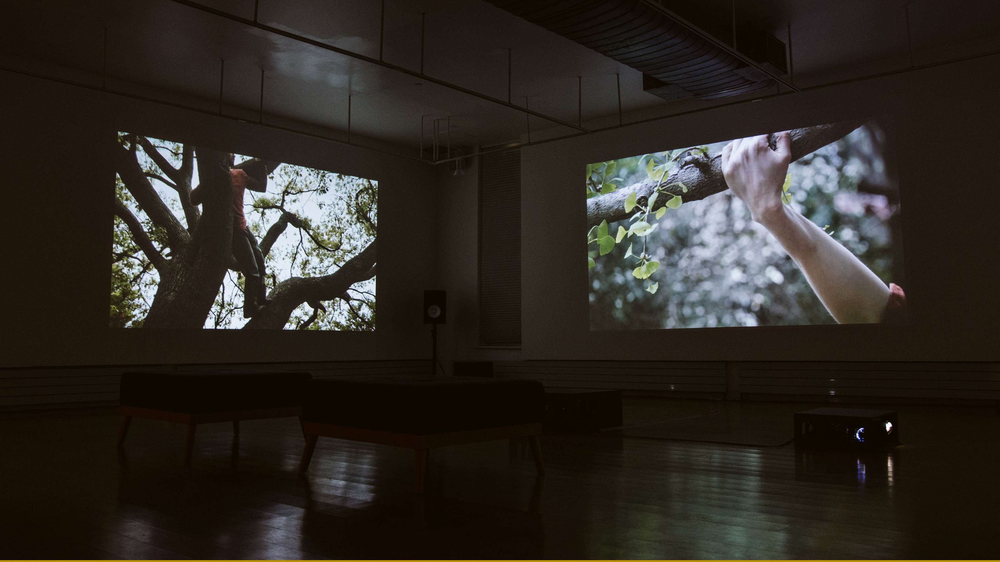 Pauline Jennings' Becoming Human