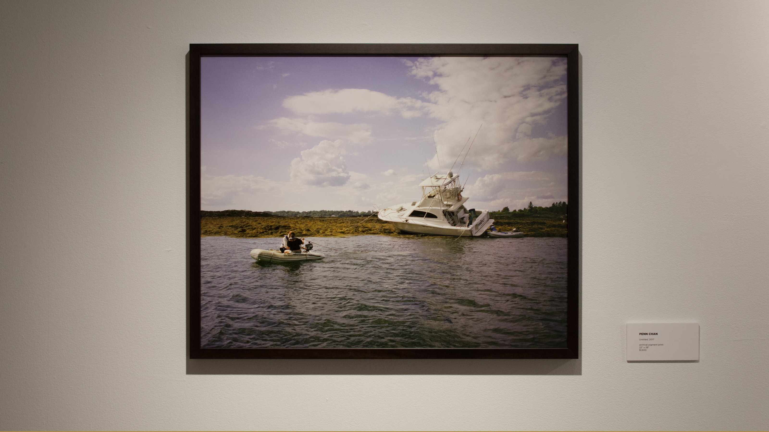 Visual Analogies: The Photography of Vanessa Kotovich and Penn Chan