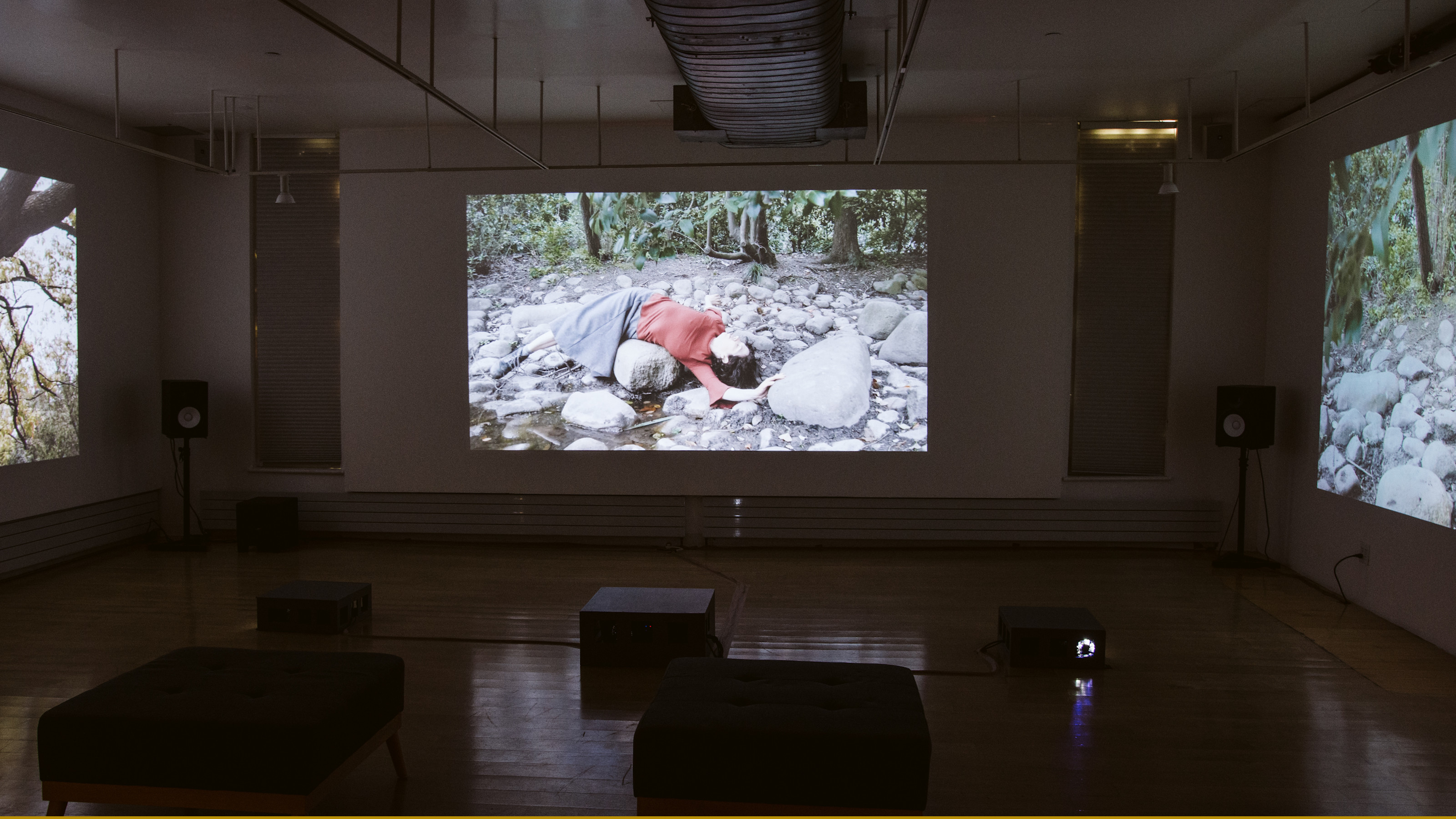 Pauline Jennings' Becoming Human