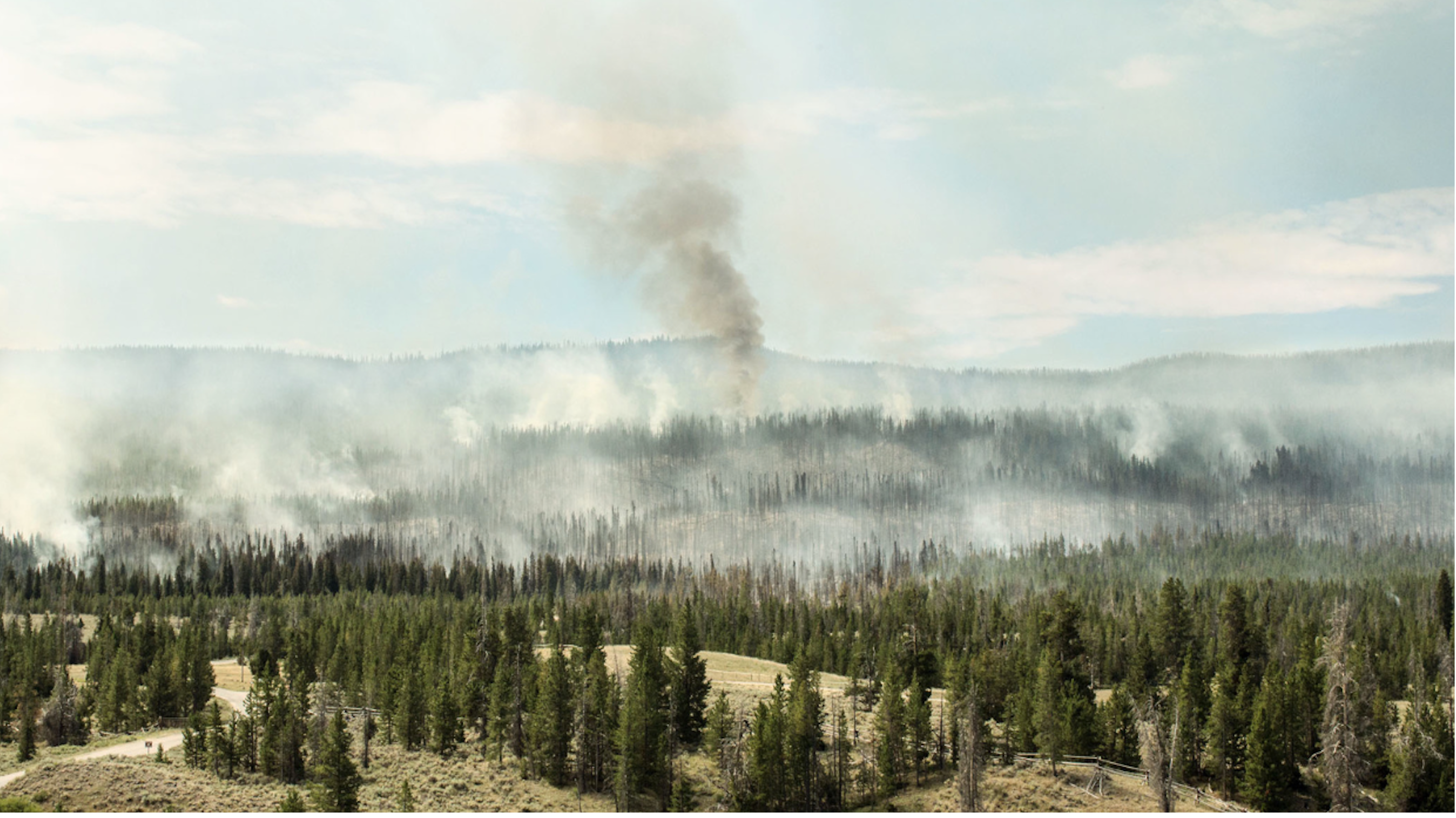 Visual Analogies: The Photography of Vanessa Kotovich and Penn Chan