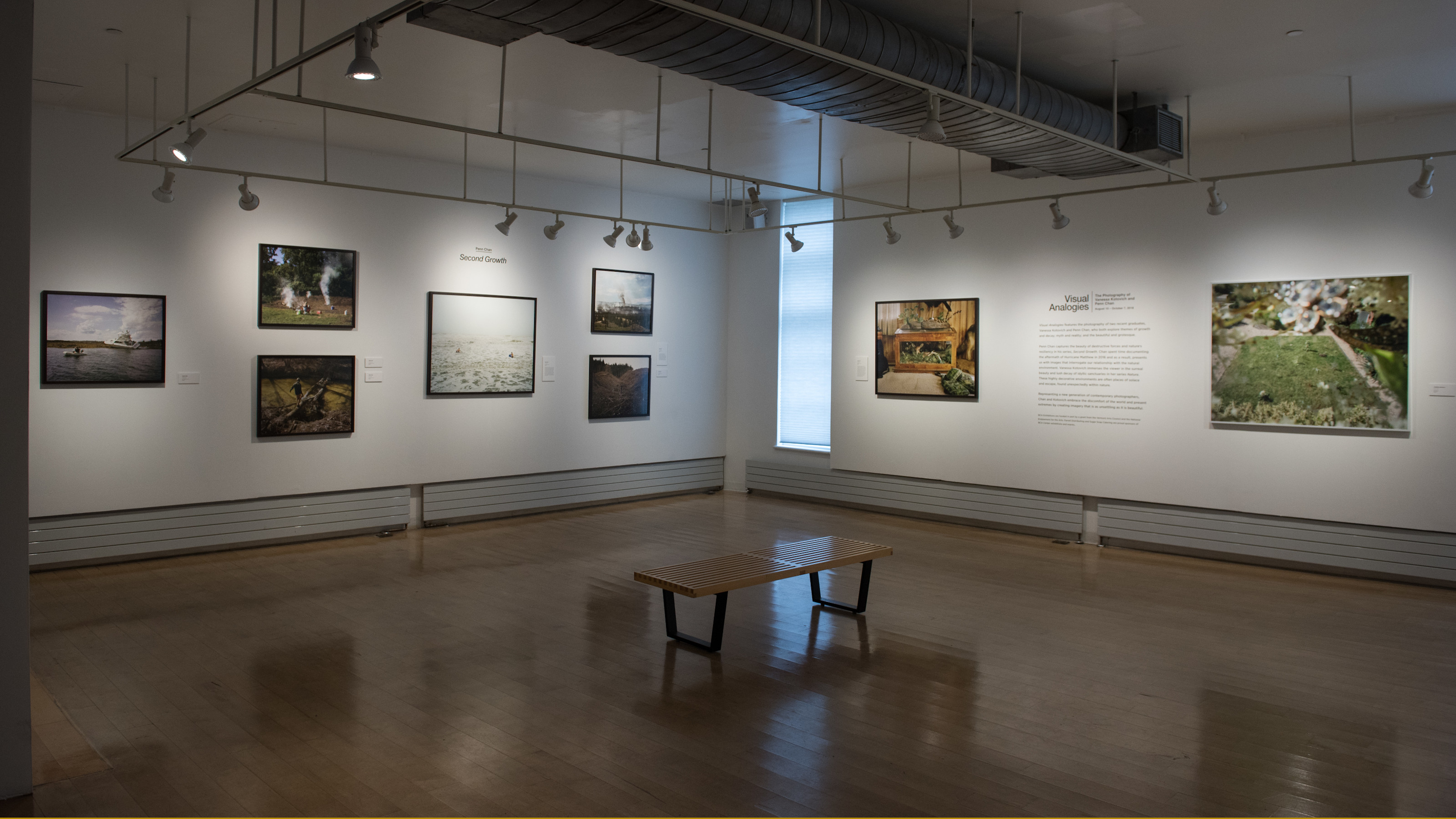 Visual Analogies: The Photography of Vanessa Kotovich and Penn Chan