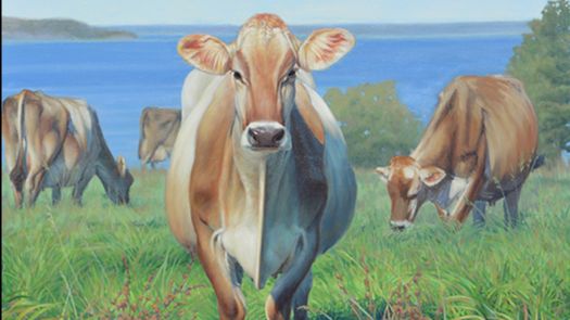 A painting of a brown swiss cow, standing in a green field, staring directly at the viewer. Other cows graze in the background and lake Champlain extends to the horizon 