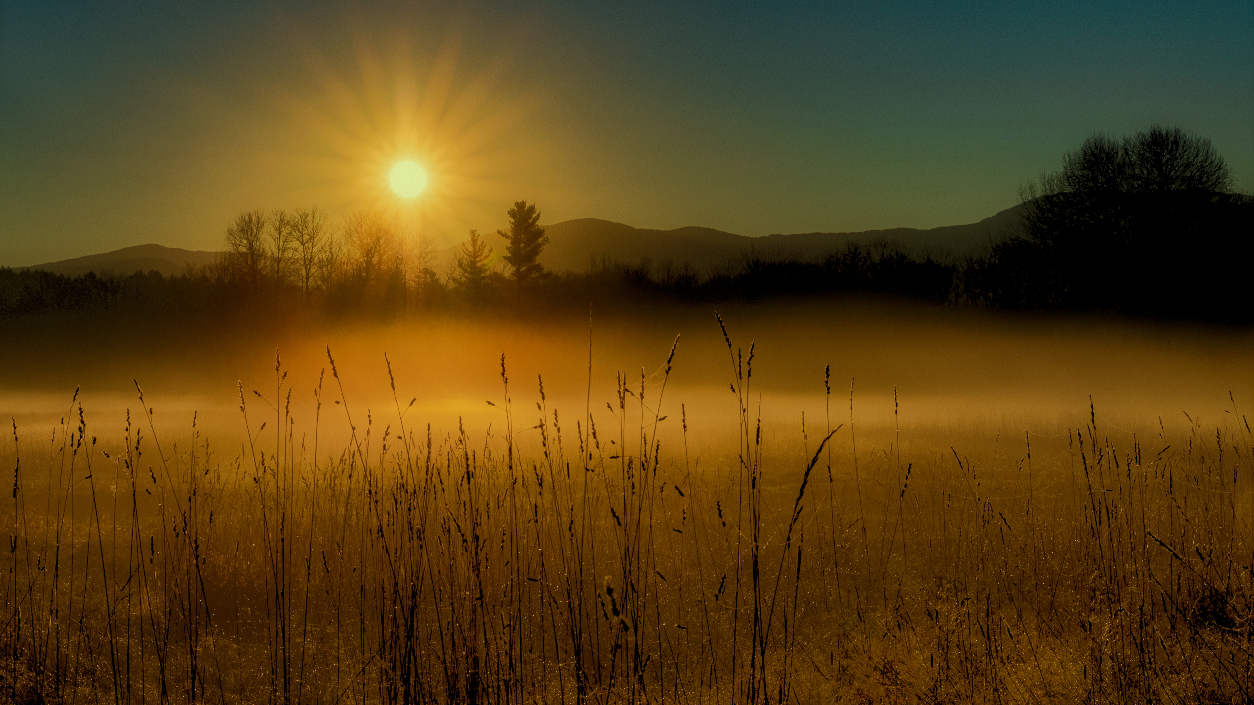 A photograph of misty meadow bathed in golden light as the sun hovers above the horizon in the distance 