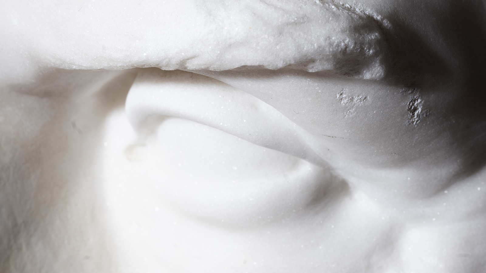 A photograph of the eye and eyebrow of a white, classical marble sculpture seen close up