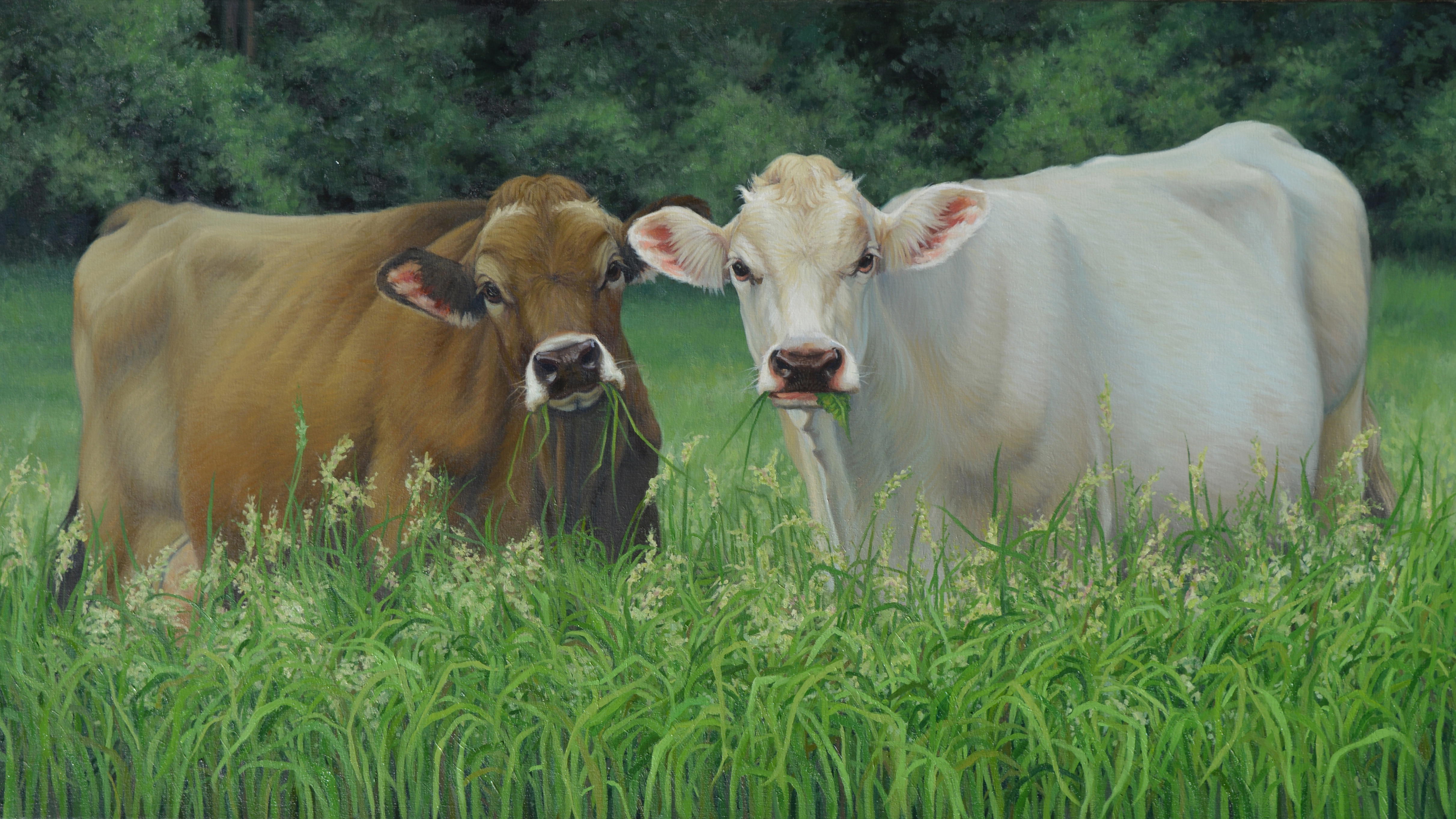 A painting of two cows, one cream colored and one light brown, standing in a lush green field of tall grass, with a dense green forest in the background