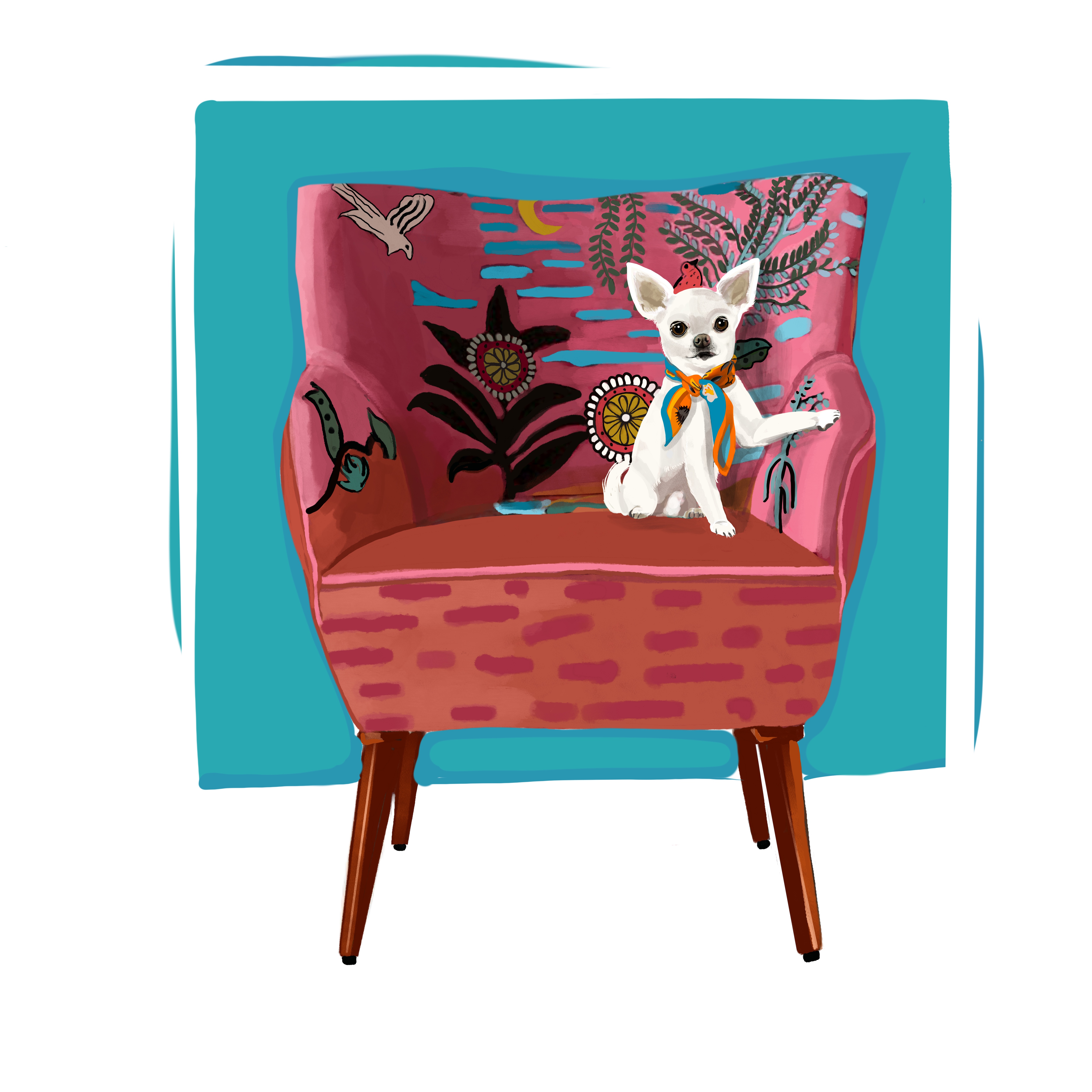 Chihuahua on armchair in bright colors