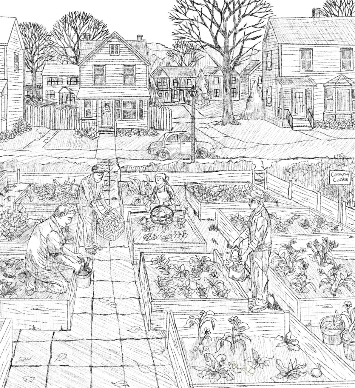 Black and white drawing of community garden