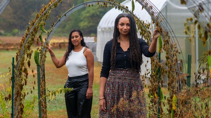 Photographic portrait of two farmers under a vined arch