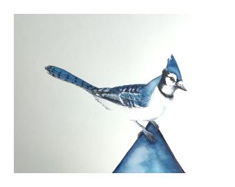 A painting of a blue jay perched on a blue triangle