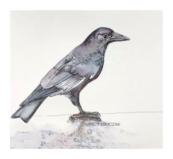 a painting of a perched crow with slate grey feathers
