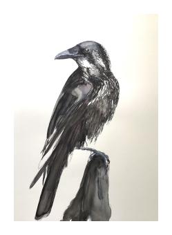 A painting of a perched crow with black and purple feathers and white highlights