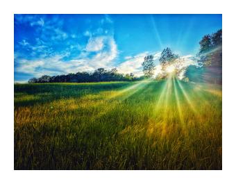 Photograph of a field at sunset. Blue sky and swirling clouds above and tall green and gold grass with the sunbursting over the horizon.