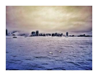 a photograph of the new york city skyline seen from afar across the water