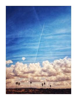 a photograph of palm trees seen from far away with blue sky and towering clouds above
