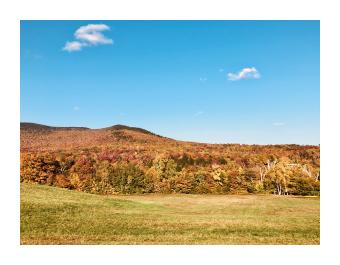 photo of fall foliage on mountains