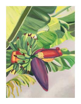 bogar_natasha_banana_flower_2008_oil_on_canvas_12x16_painted_2_inch_edges_1500.jpg