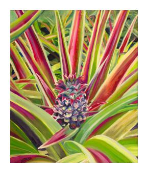 bogar_natasha_pineapple_flower_2007_oil_on_canvas_18x24_framed_3000.jpg