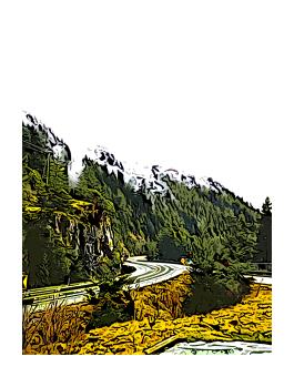 Photograph of a mountain road, highlighting mountain forestry and grass terrain in deep greens and yellow. 