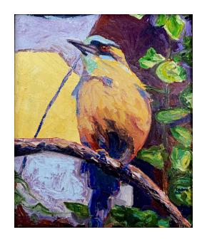 A bird perched on a branch in blue and yellow with a strikingly red eye.