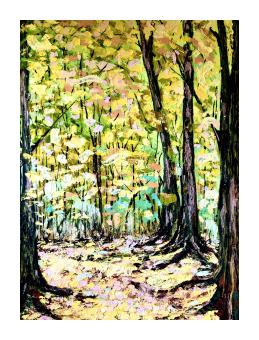 A forest path with trees growing over it, leaves scattered on the ground in yellows and greens