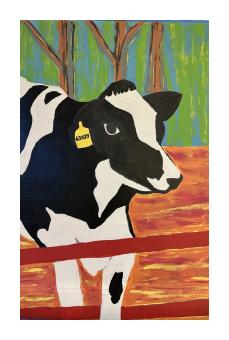 A portrait of a black and white dairy cow standing at a fence. 