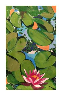 Image depicting green and yellow waterlilies on the water, with one blossoming into a pink flower. 