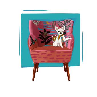 Chihuahua on foliage decorated pink chair with teal. Teal abstract background. 