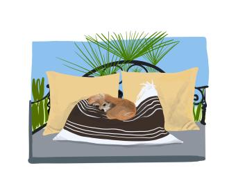 Elderly dog sleeping on a grey outside sofa with brown blanket, yellow pillows, and a blue background. Green foliage. 