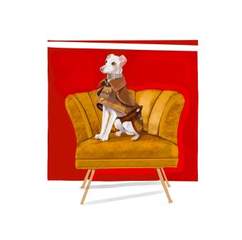 Italian greyhound in brown armor on mustard yellow chair. Blood orange abstract background. 