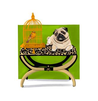 Pug reclining on animal print ottoman next to gilded bird cage with orange bird inside. Olive green background. 