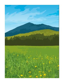 Green clearing with yellow flowers in front of a deep green forest and blue mountains. 