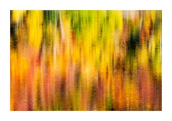 A photograph of the water's surface where autumn foliage is reflected in oranges and yellows. 