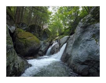 Photograph of a waterfall cascading down rocks in a green forest.