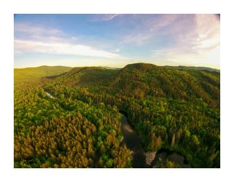 Photograph of an aerial view of a forest in greens and oranges.