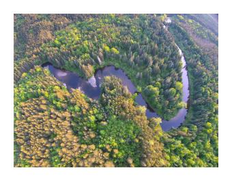 Aerial photography of a winding river through forestlands.