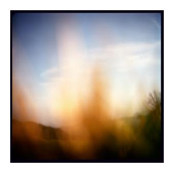 Photograph depicting a blurred grass blade along a blue sky. 