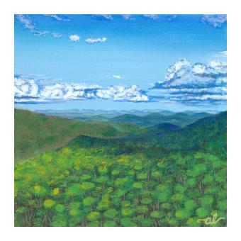 Acrylic on canvas landscape of the above view of a forest and mountains. Done in blues and greens.