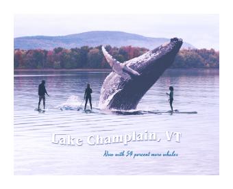 Illustration of three figures surrounding a humpback whale as it bursts forth from the lake