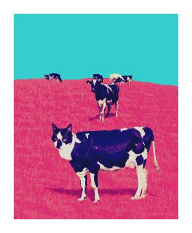 Illustration of several cows in a field where the grass is bright pink and the cow in the foreground has a tuxedo cat's head. 