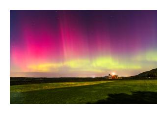 Photograph depicting the aurora borealis above a field in yellow, pink, and purple. 