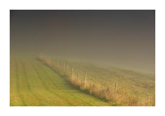 Foggy photograph of a field and fences. 