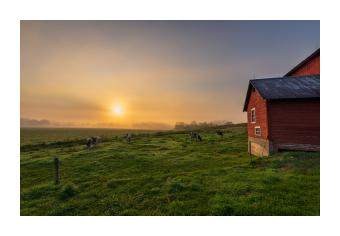 Photograph of a sunrise on a green field next to a red barn