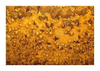 Photography of a close up of a frost pattern in deep orange.