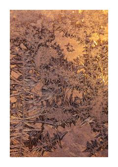 Photography of a unique frost pattern in a pale pink hue. 