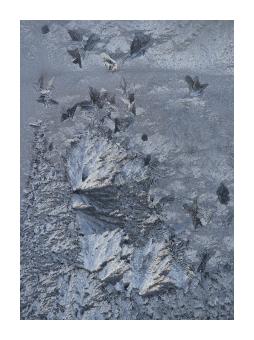 Photography of a unique frost pattern in a deep blue hue. 
